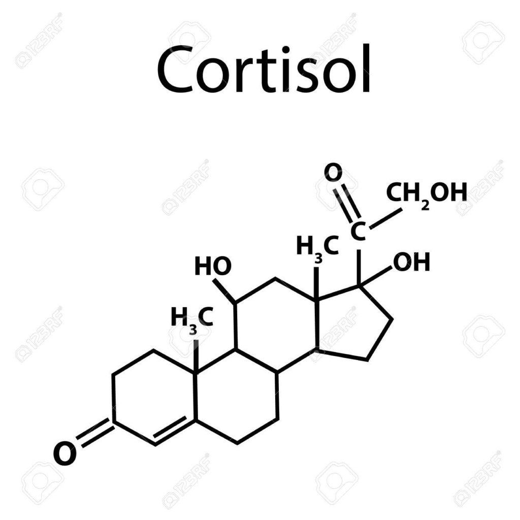cortisol-la-gi