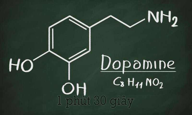 dopamine-la-gi