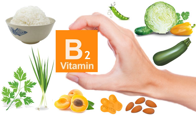 vitamin-b2-co-tac-dung-gi-voi-co-the