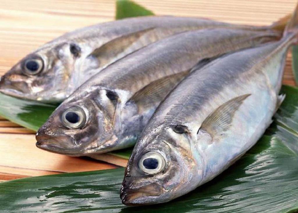 Nên ăn cá nước ngọt hay cá nước mặn?