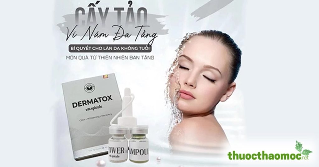 Review cấy tảo vi nám đa tầng Trần Kim Huyền